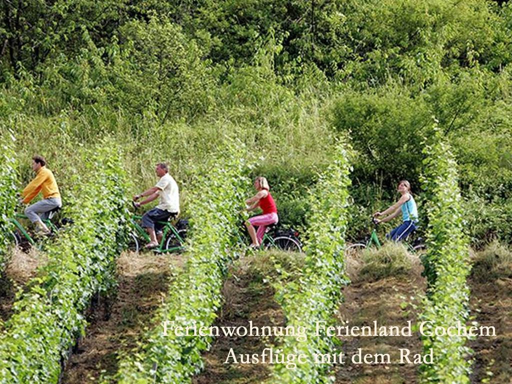 ברוטיג-פאנקל Ferienwohnungen Ferienland Cochem מראה חיצוני תמונה