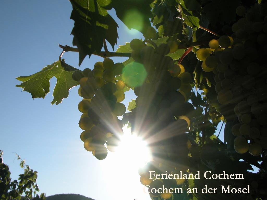 ברוטיג-פאנקל Ferienwohnungen Ferienland Cochem מראה חיצוני תמונה